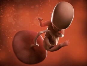 Mi embarazo de 14 semanas Mi embarazo de 14 semanas