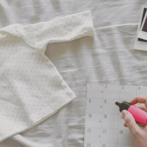 Calendario Semanal de Embarazo