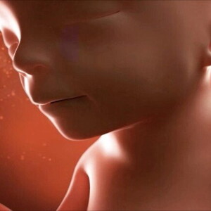 Feto de 17 semanas Feto de 17 semanas
