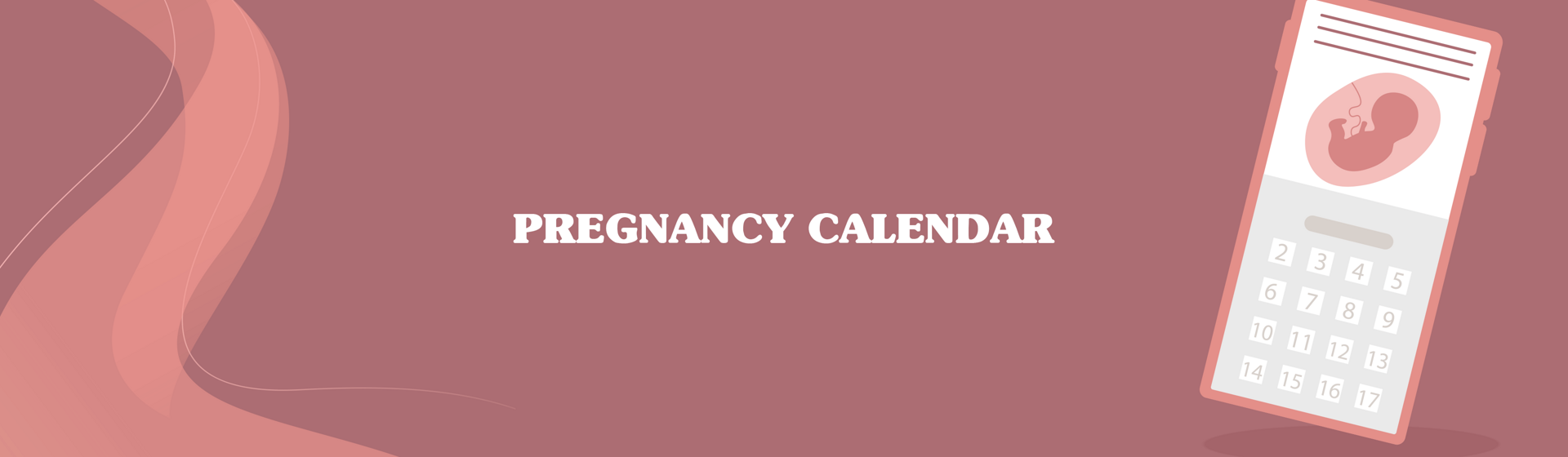 Pregnancy calendar